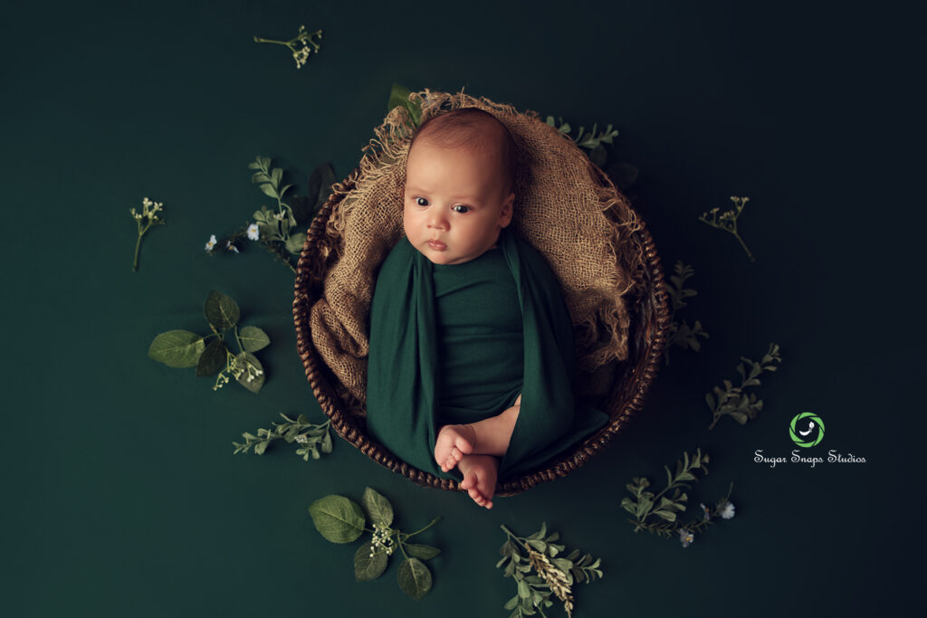 studio newborn photographer in cypress houston