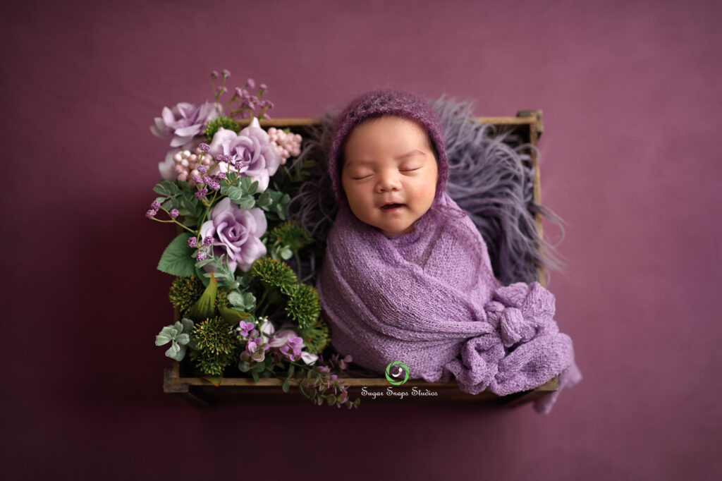 studio newborn photographer in cypress houston